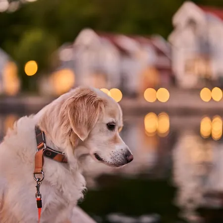 מלון Farsund Resort