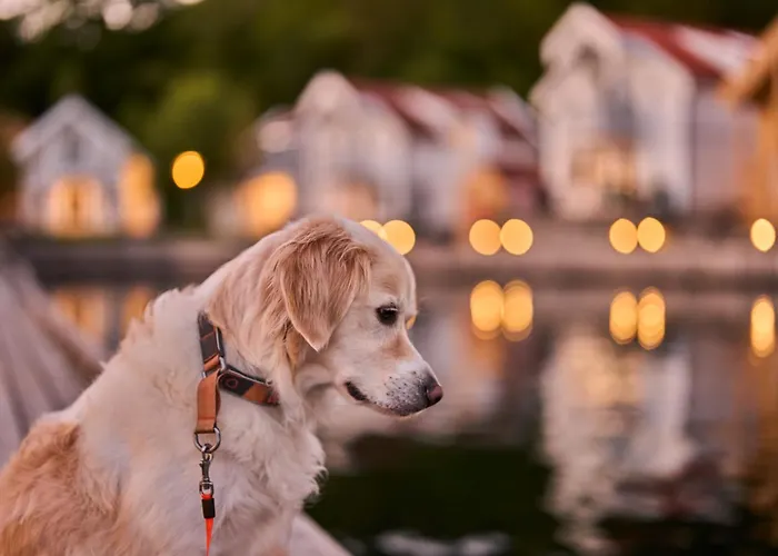 Hotell Farsund Resort